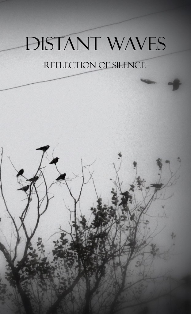 [B003] Distant Waves - Reflection of Silence